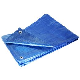 Blue 6 x 8 Tarp